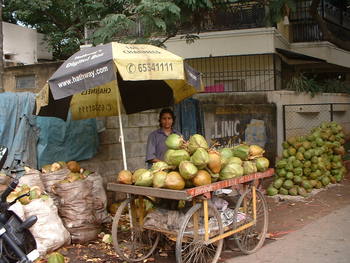 Coconut vendor