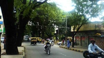 A view of Margosa Road (pic: Poornima Dhasarathi)