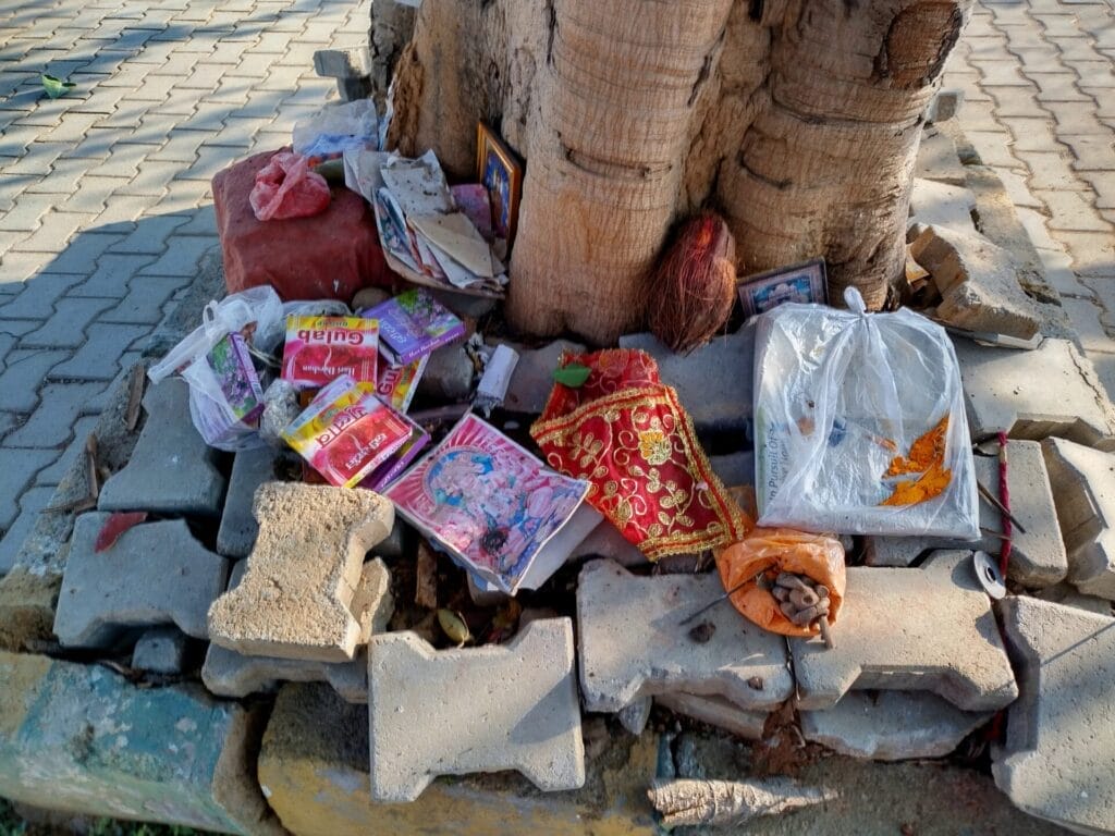 Religious photos and other items placed under a tree
