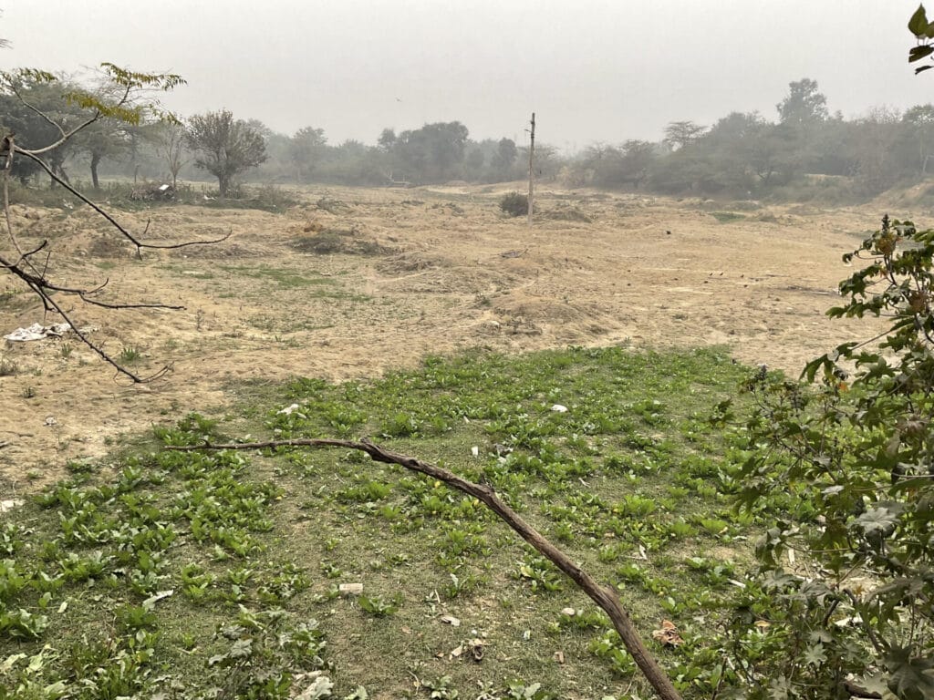 Hiralal's farm, now vacant and barren after being bulldozed by the state.