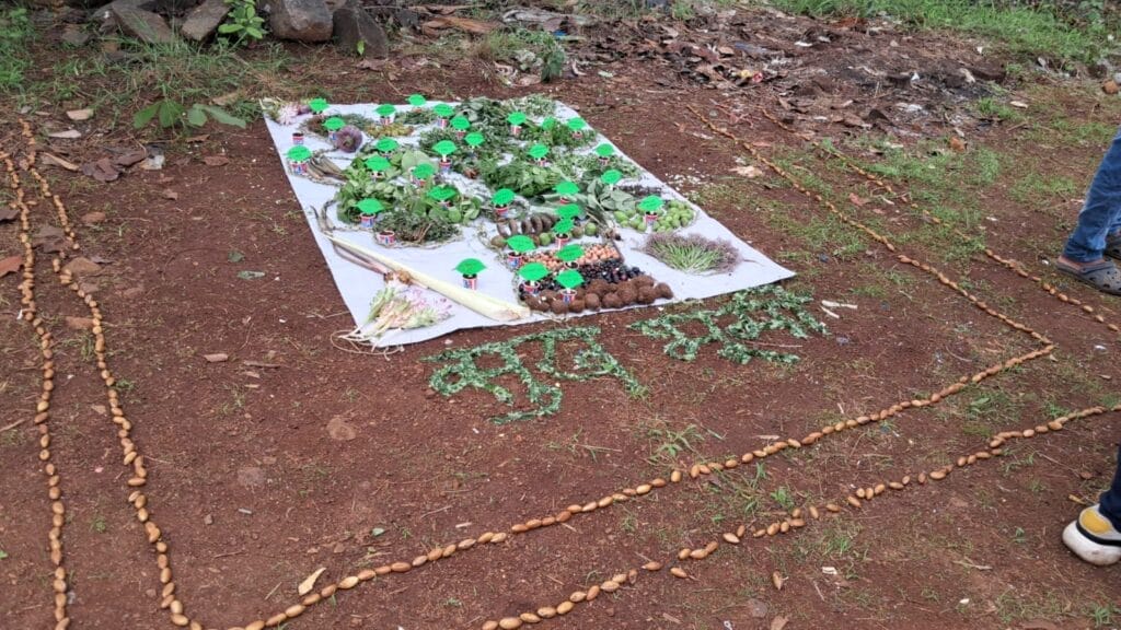 A rangoli made of wild vegetables at Hirvya DEvachi Yatra, Murbad