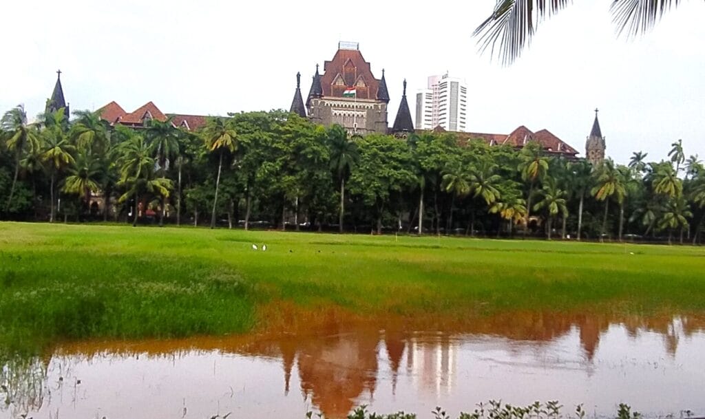 Incidents of floods and waterlogging have been disrupting daily lives of people for years. Pic: Hepzi Anthony