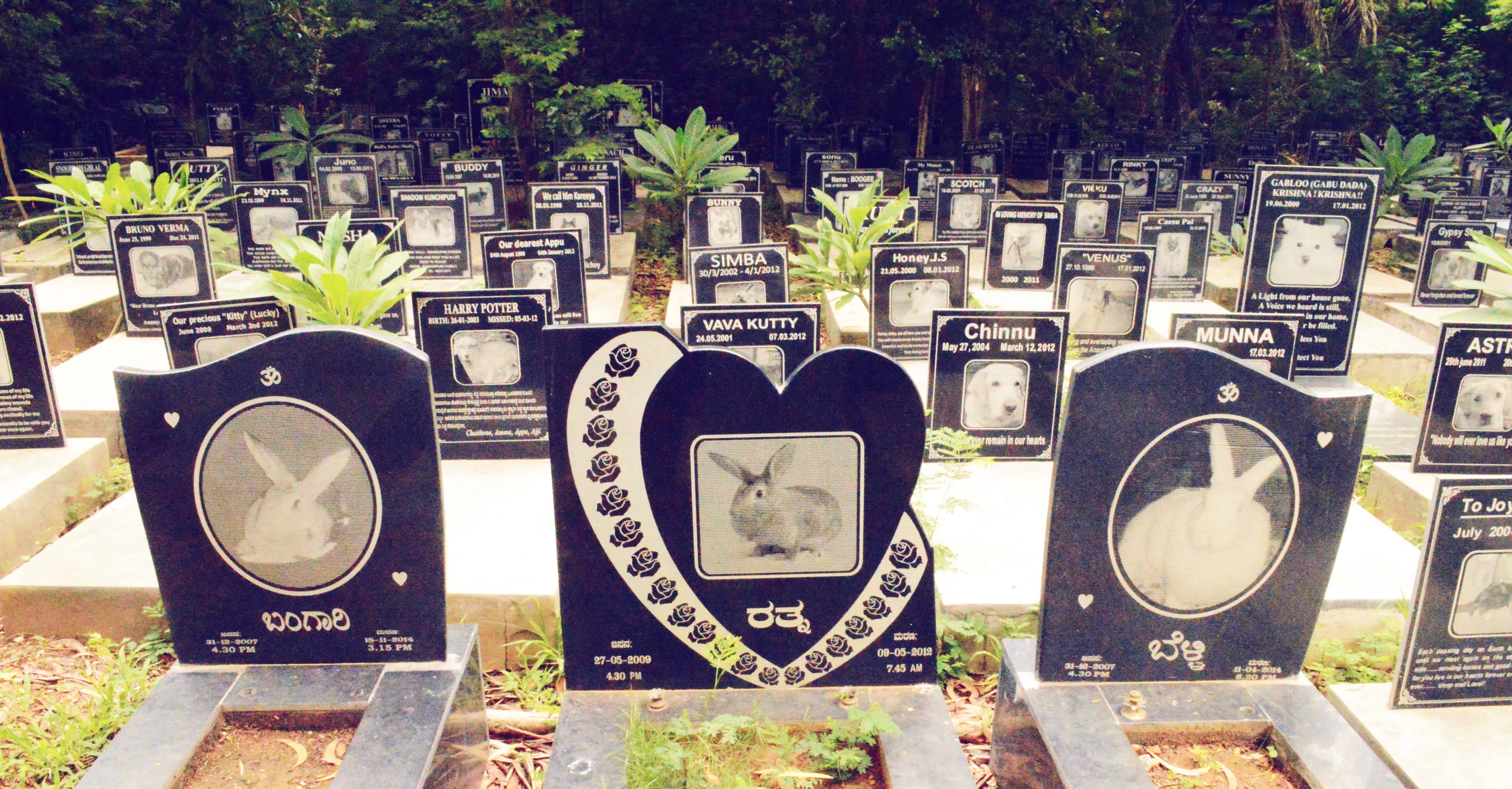 20 Best Photos Pet Cemetery Near Me Cost Pet Burial Everything You