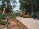 KRDCL road widening tree felling