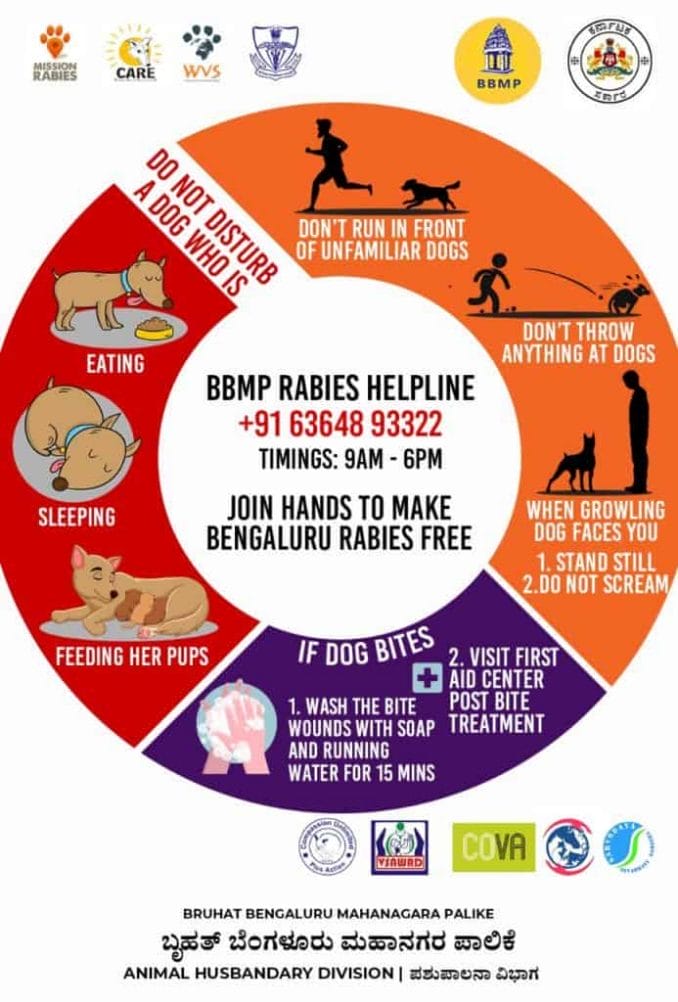 BBMP Helpline to report rabies