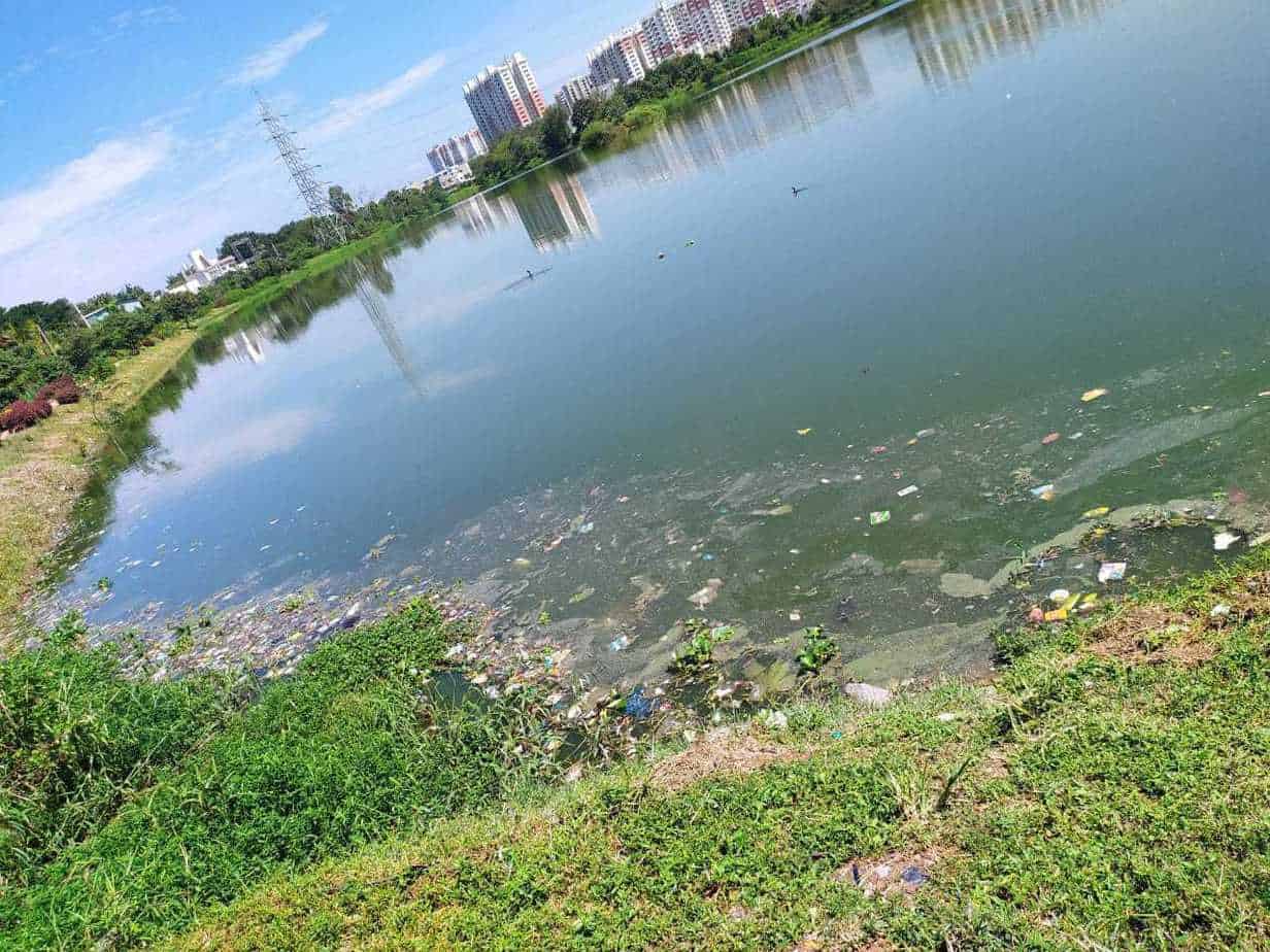 Image result for POLLUTED LAKES OF BANGLORE