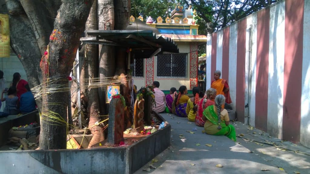 People gather under the ashwath katte at Sirsi Circle
