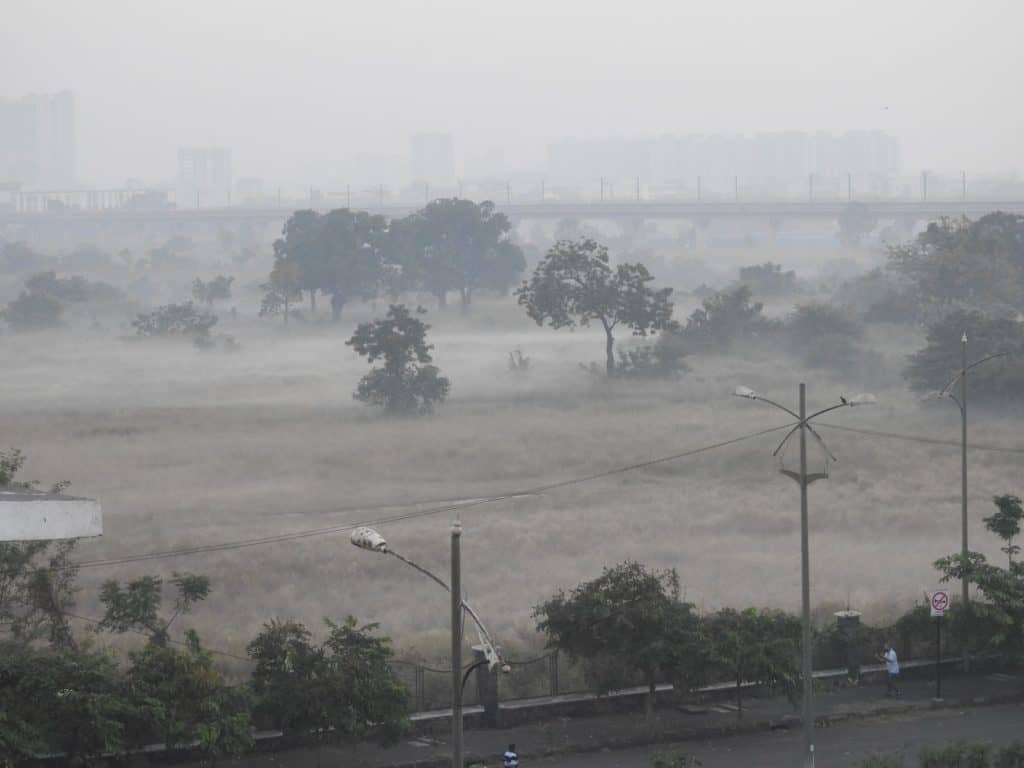 In the monsoon, the grasslands turn into a haven for biodiversity
