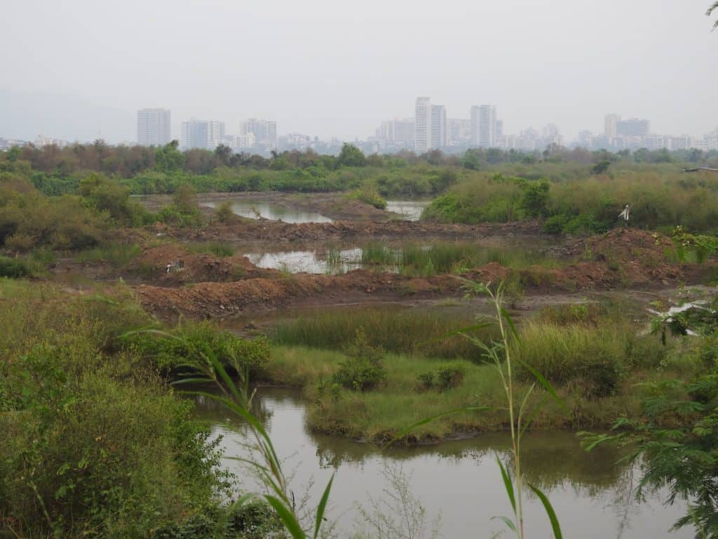 Reclamation of wetlands with mud started in September 2020