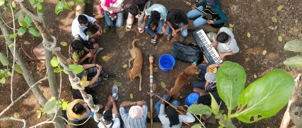 humans playing music circle a street dogs who lay in between