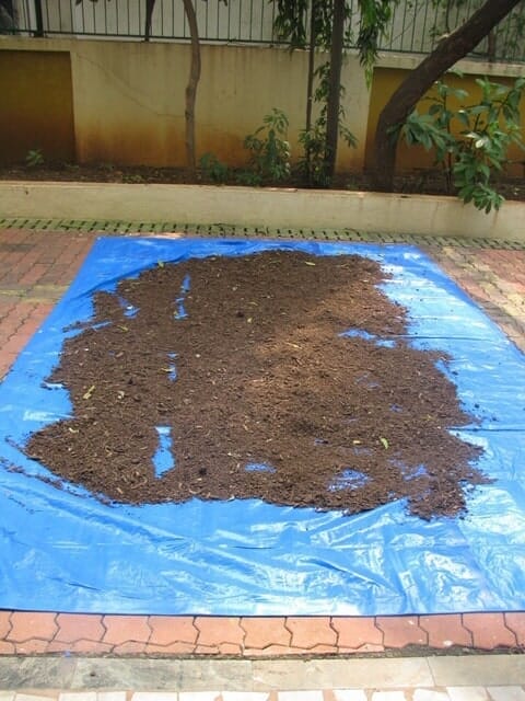 Compost left to dry on a plastic sheet
