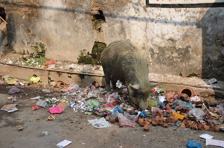 waste management issues in Varanasi