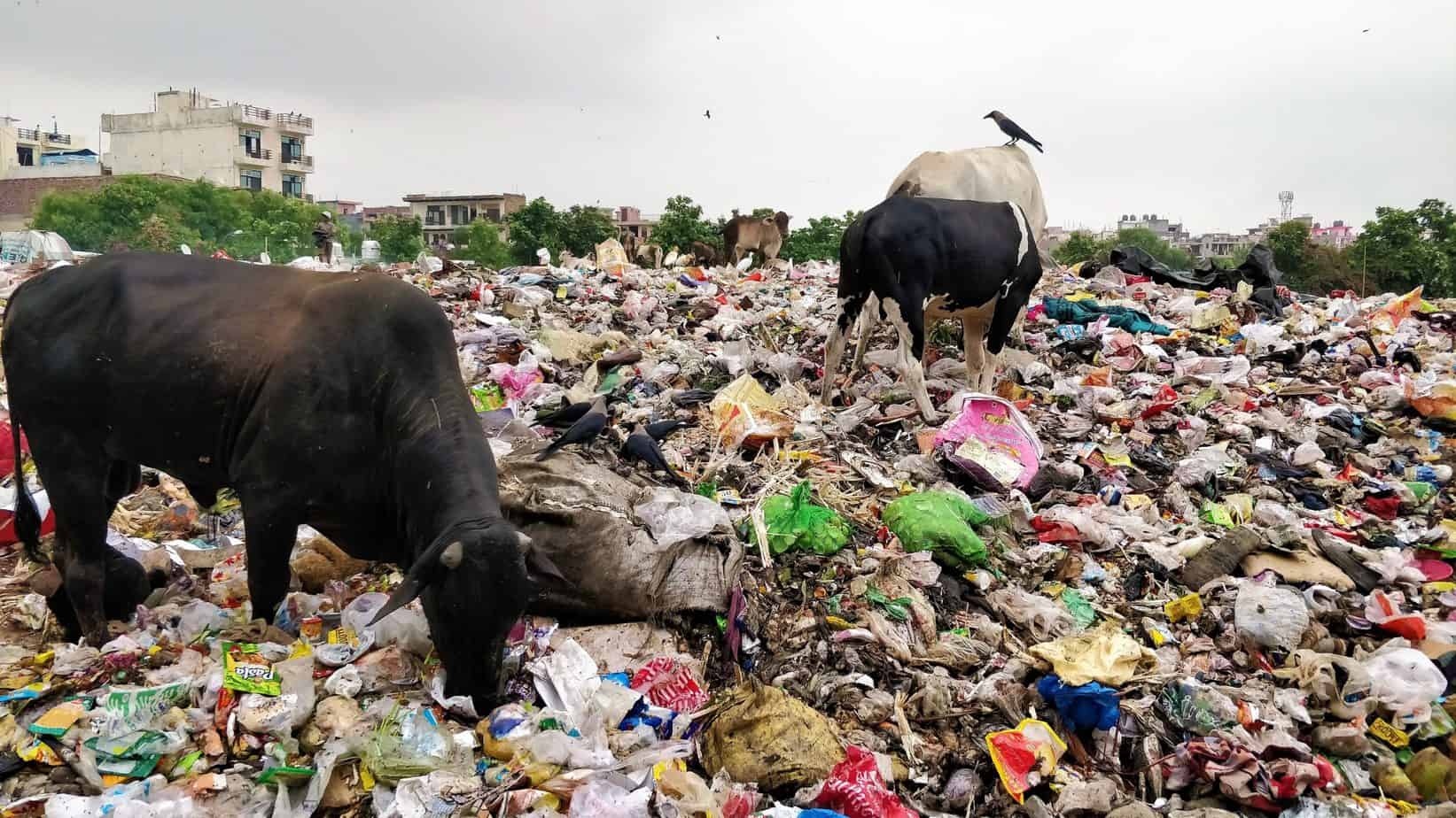 Seven policy measures needed to beat plastic pollution in our cities -  Citizen Matters