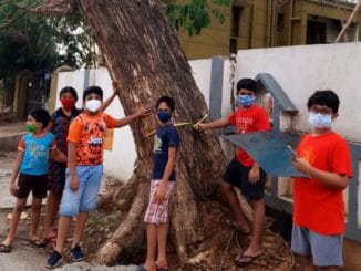 Kids in Anna Nagar tree survey