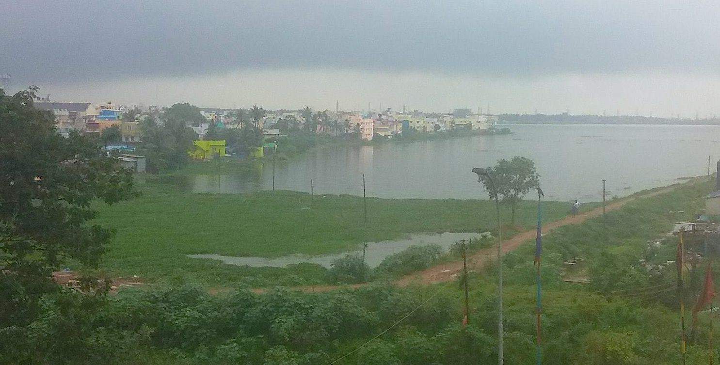 Retteri lake: The 'heart of the community' that citizens are fighting to  save - Citizen Matters, Chennai