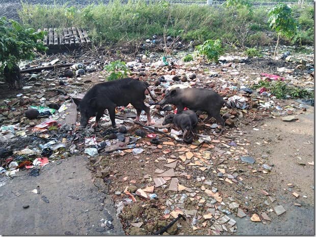garbage dumping near perambur station